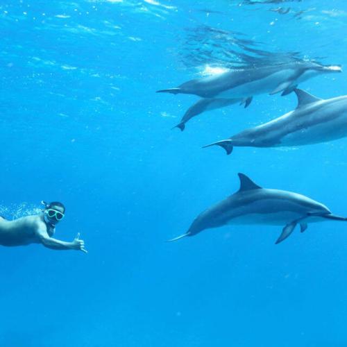 Private Schnellbootfahrt in Hurghada