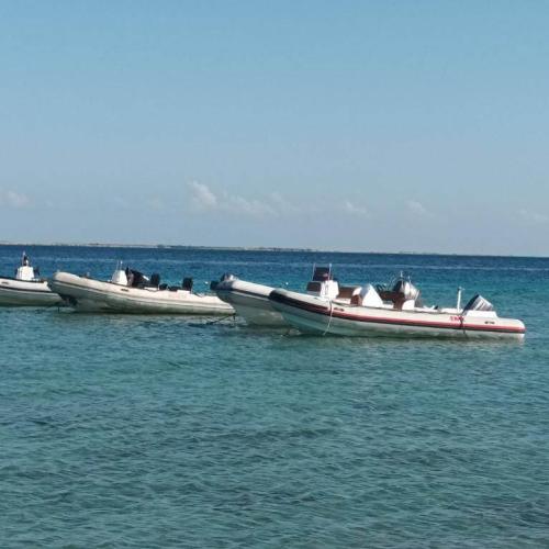 Private Schnellbootfahrt in Hurghada