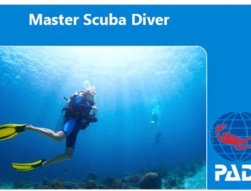 Dive Master diving course