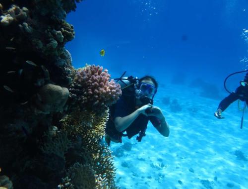 Discovery Scuba Diving