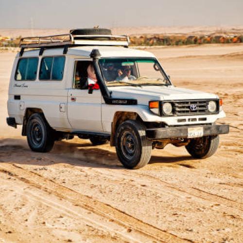 Family Safari 5 Hours (Afternoon program)