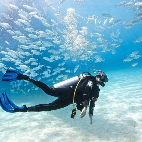 Hurghada Daily Diving