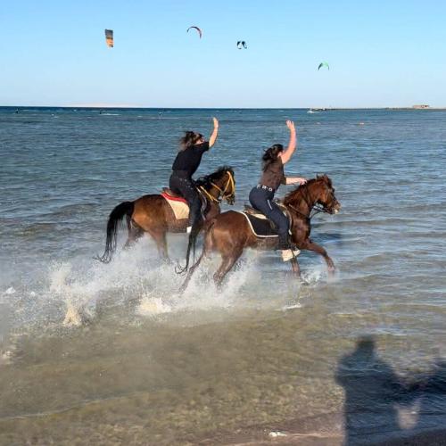 Horse Riding hurghada