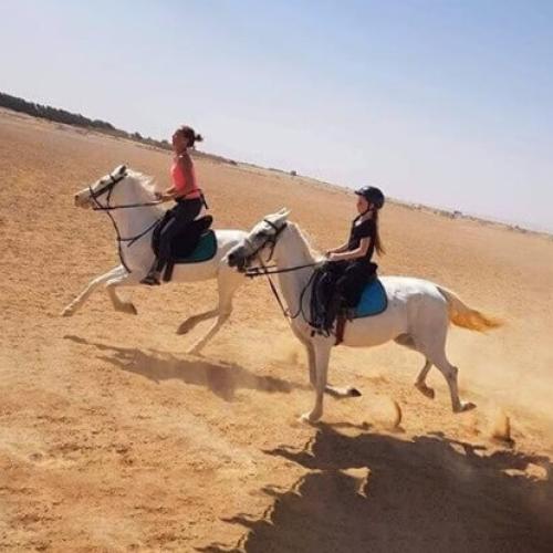 Horse Riding hurghada