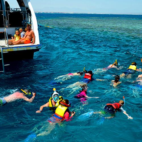 Dolphin House Hurghada