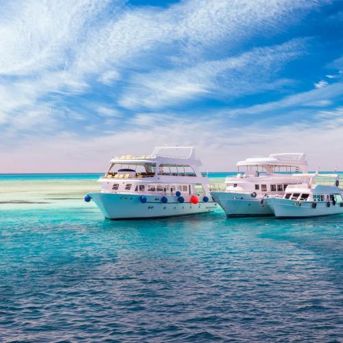 Dolphin House Hurghada